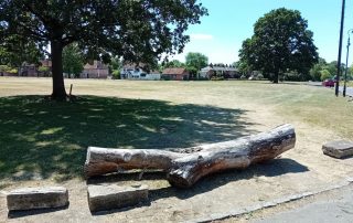 holyport green free of travellers