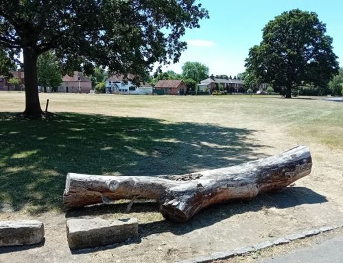 The Travellers who had recently occupied Holyport Green have now left the site