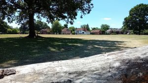 holyport green free of travellers