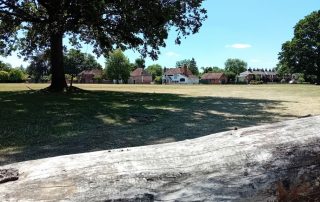 holyport green free of travellers