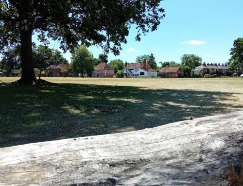 Enjoy Holyport Green This Weekend