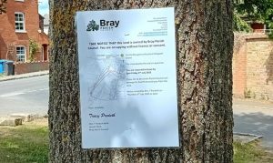 picture of notice on tree